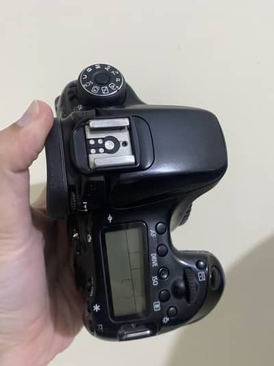Canon 70D Body