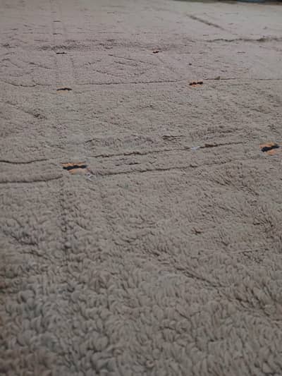 carpet