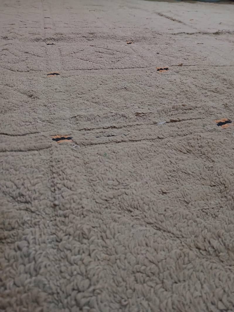 carpet 0