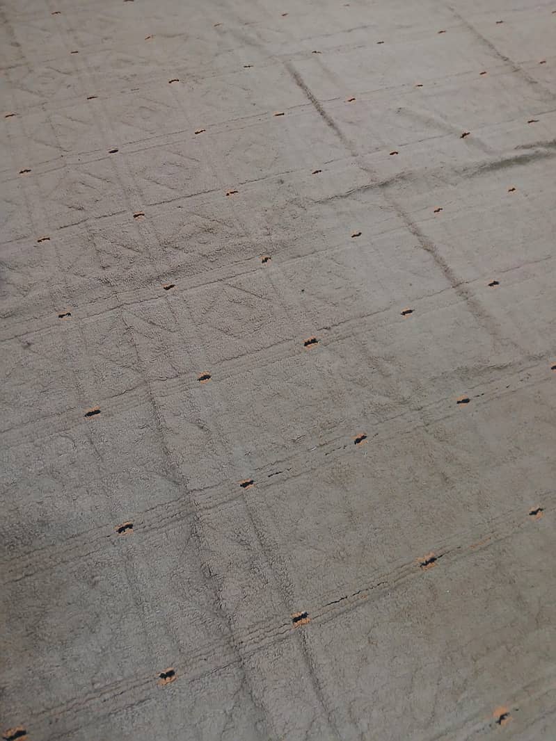 carpet 2