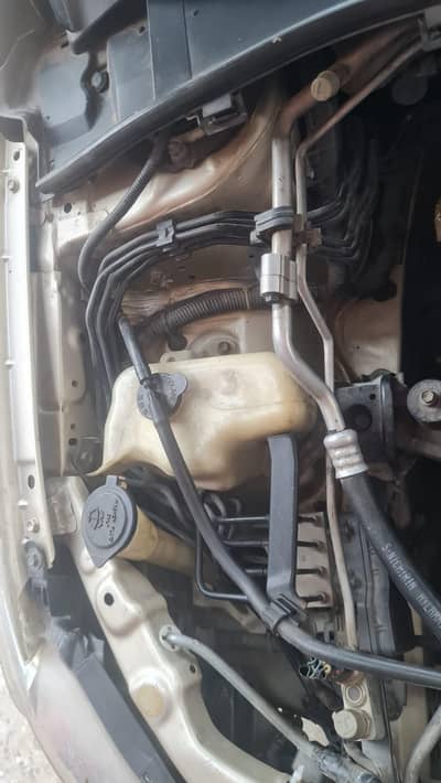 Gli 2010@ 0/3/3/2/5/0/0/7/8/1/0