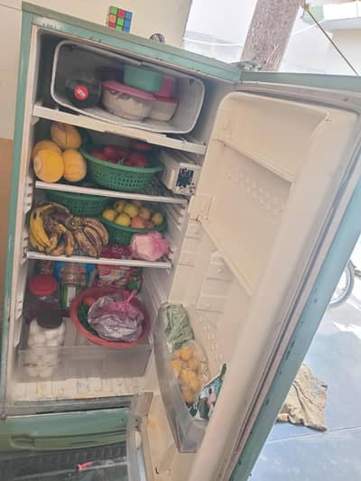 my WhatsApp no 0315 5576099