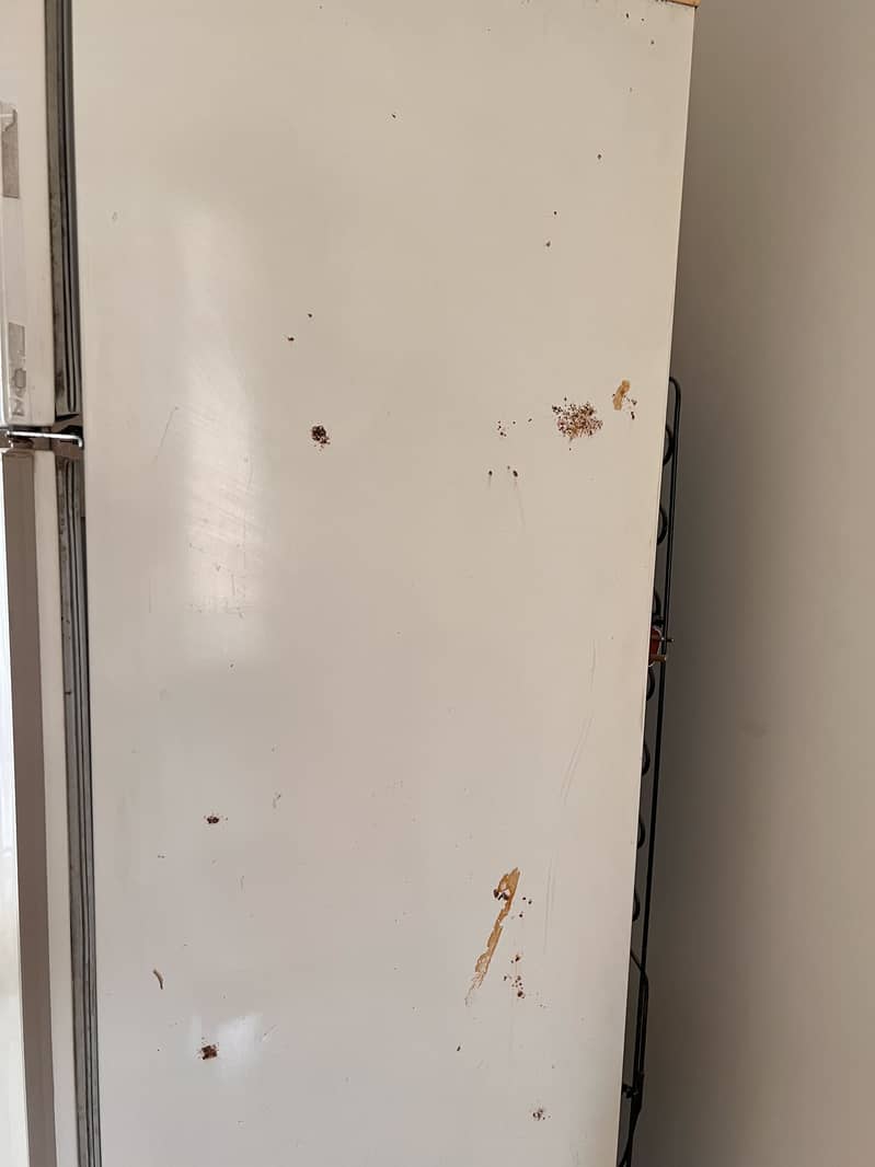 Refrigerator 2