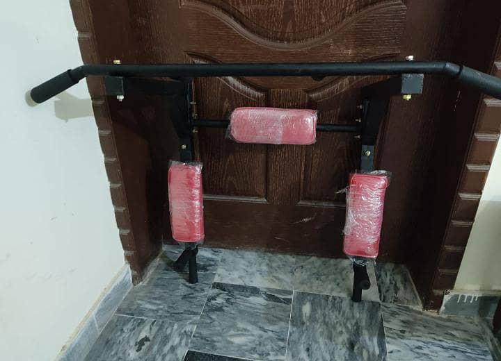 Wall Mounted Pull up bar 2