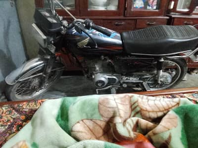 zain from faislabad +92328 8101031 contect number