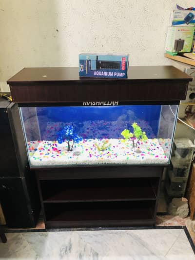 3fit fish aquarium with all asasries