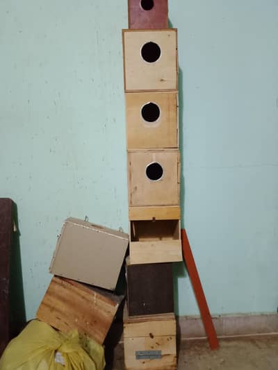 lovebirds boxes 600 each