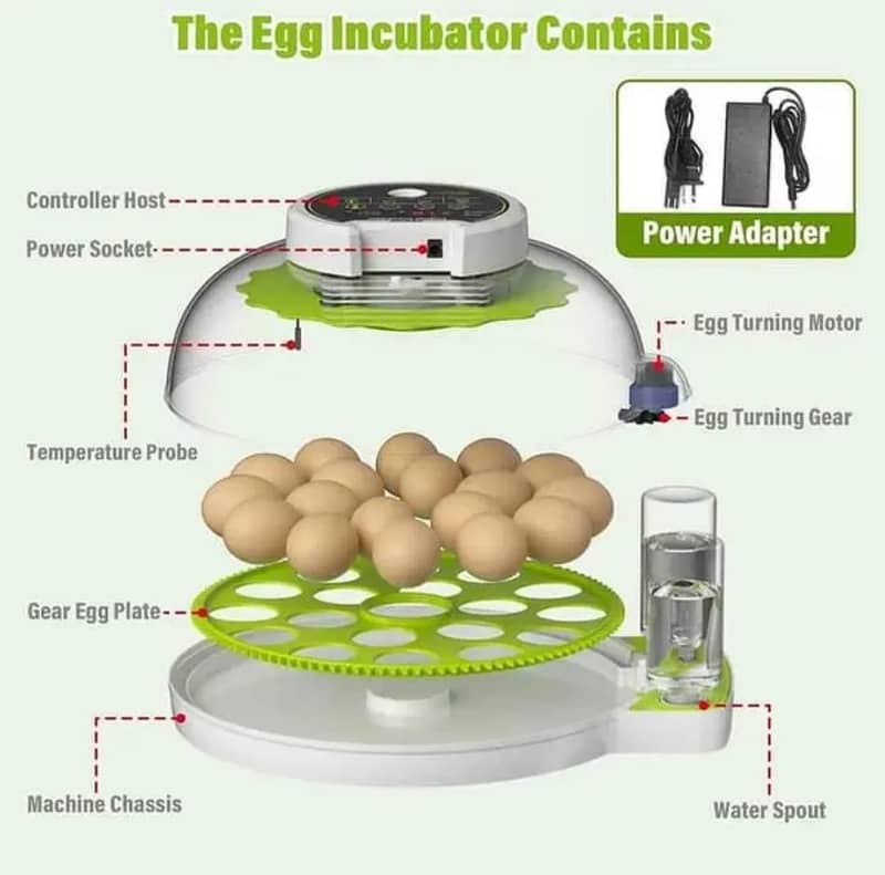 18 Eggs Incubator Automatic 0