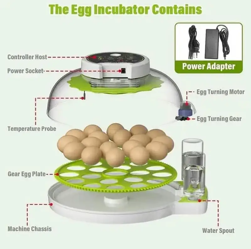 18 Eggs Incubator Automatic