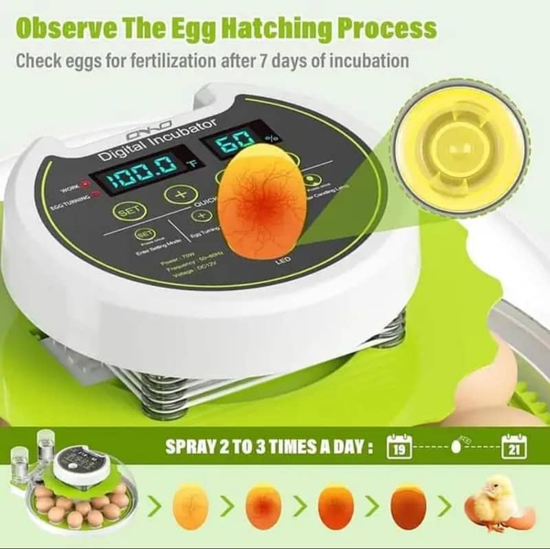 18 Eggs Incubator Automatic 2