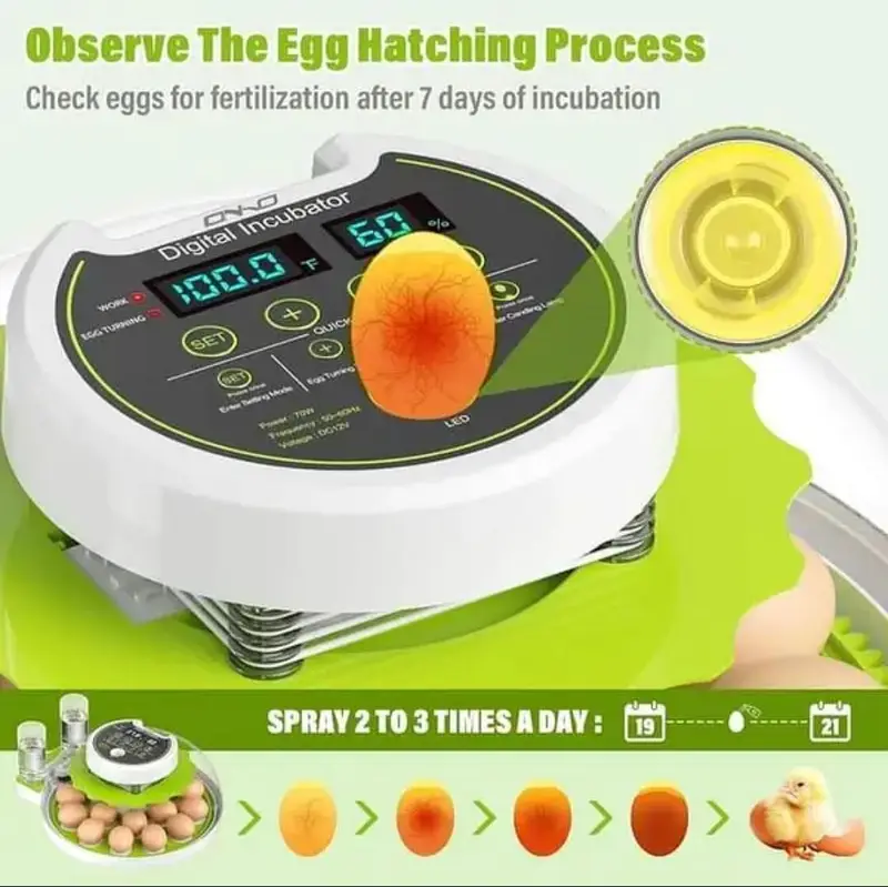 18 Eggs Incubator Automatic — photo 3