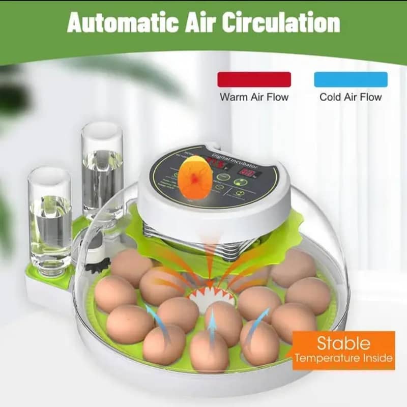 18 Eggs Incubator Automatic 5