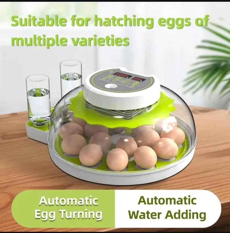 18 Eggs Incubator Automatic 6