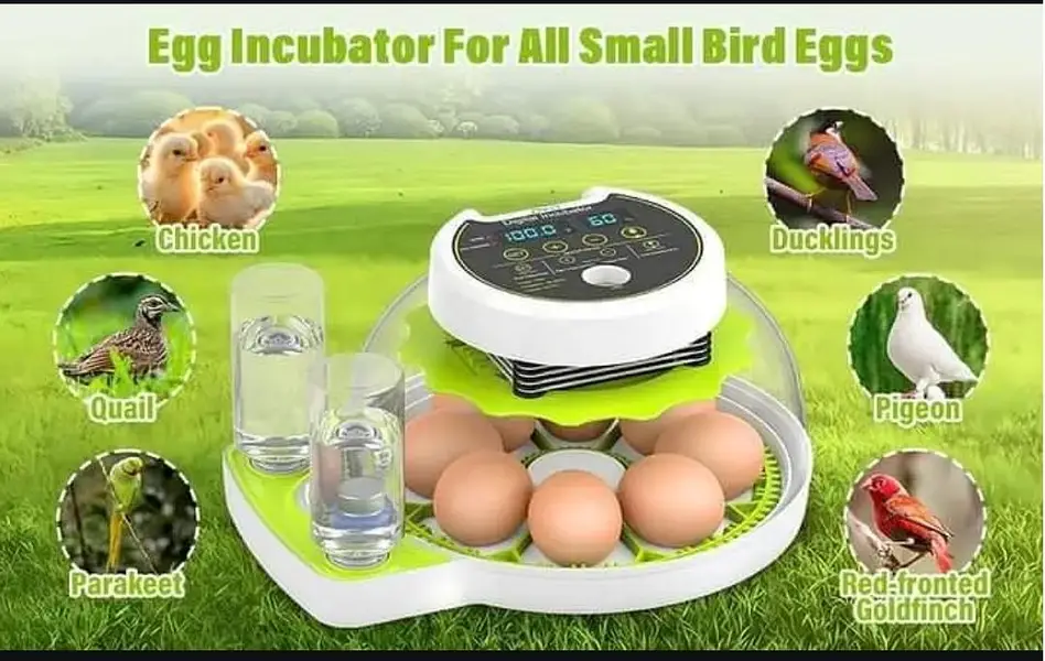 18 Eggs Incubator Automatic — photo 8