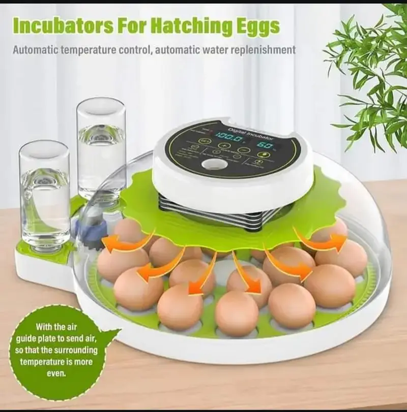 18 Eggs Incubator Automatic — photo 10