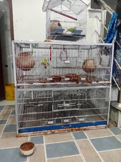 2 cages saiz 2.3 arjnt sale 32 kg w8  krny hein khid tyaar krwaye