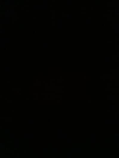 Assistant Coordinator female