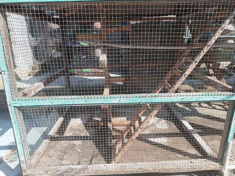 یوز دڑبا سائز چھ بائ تین لو پرائس مٹیریل وڈ ہائی کوالٹی بیسٹ کیج بیسٹ 2