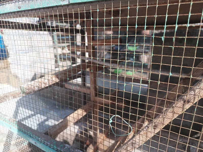 یوز دڑبا سائز چھ بائ تین لو پرائس مٹیریل وڈ ہائی کوالٹی بیسٹ کیج بیسٹ 5