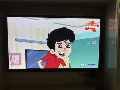 Samsung led/51"/ original/ imported