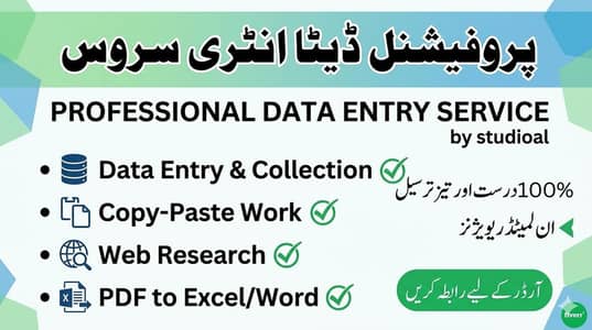 Professional Data Entry and Typing Expert