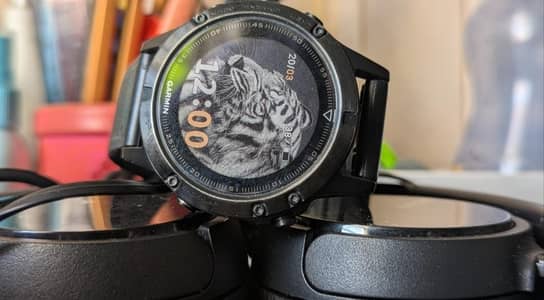 Garmin fenix 5 sapphire