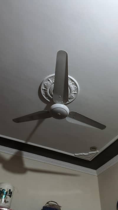 fan for sale