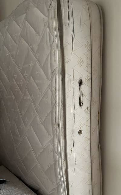 10 inch Diamond pocket spring mattress