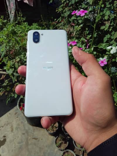 Sharp Aquos R3 Official Pta