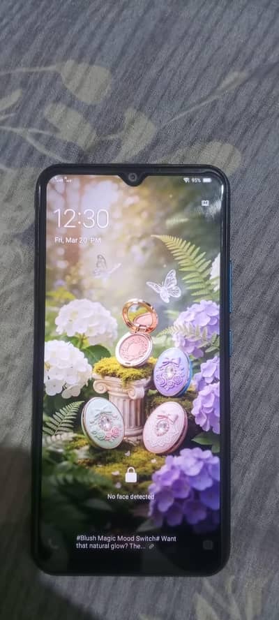 vivo y 11 family used PTA official