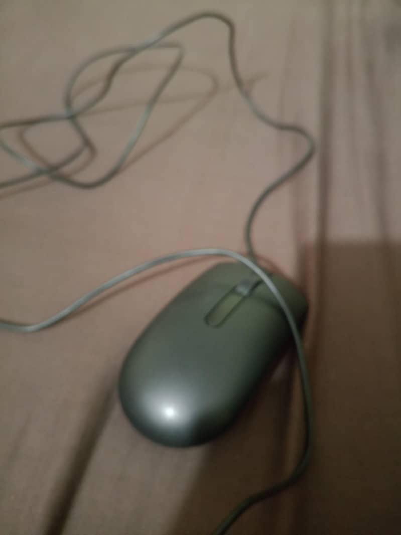 Dell Mouse 2