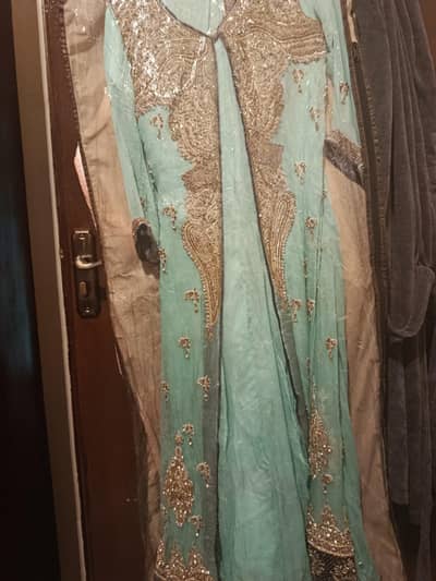 Formal Maxy on chiffon with heavy velvet plum border