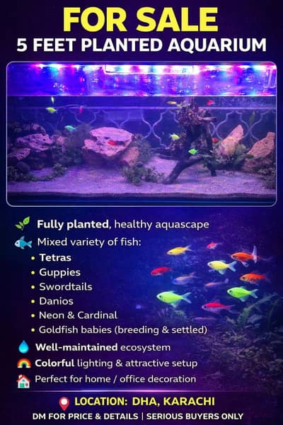 5 Feet Fully Planted Aquarium