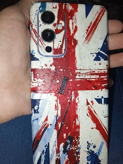 one plus 9 (original pannel ) no line