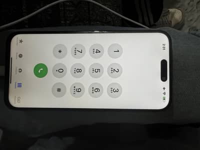 IPhone 15 Pro Max Panel only