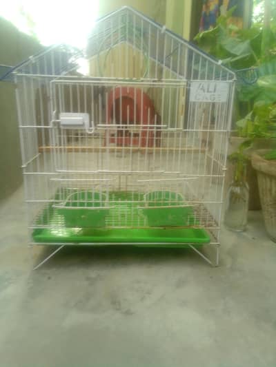 parrot  cage