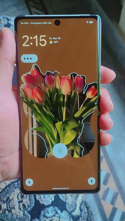 Google pixel 6 pro edge PTA Approved