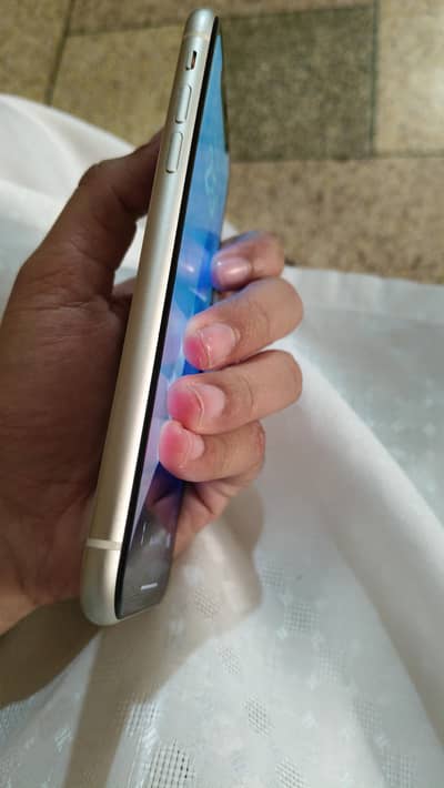 11 pta approved both