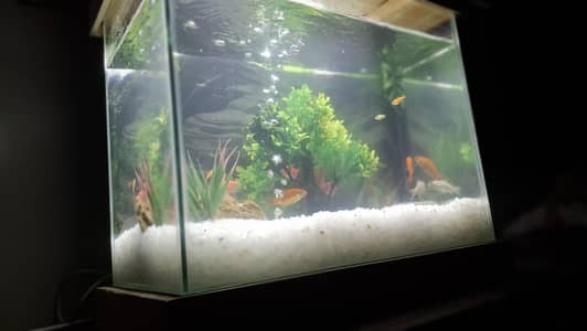 Aquarium for sale