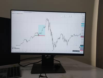 Dell Monitor 24 inch