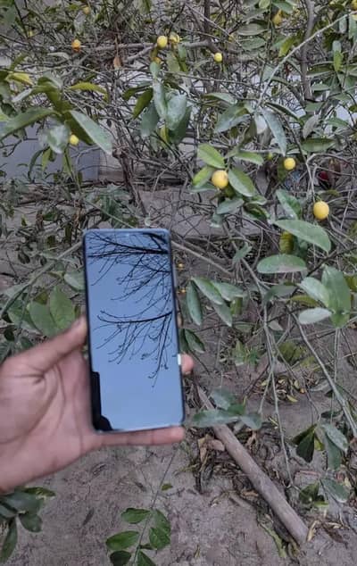 Samsung s20 ultra  12/128 pubg god father 120hrz refresh rate