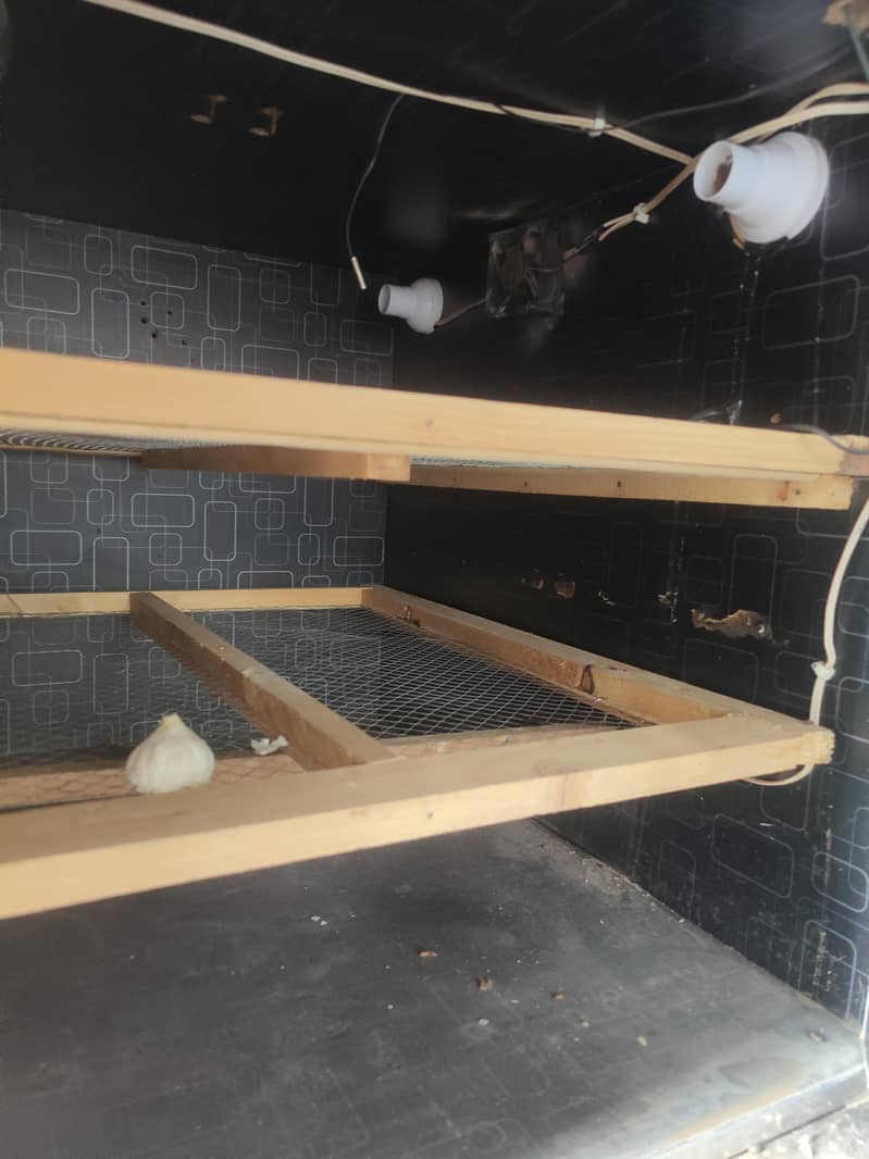 incubator 2