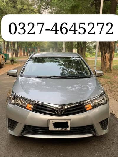 Gli available for rent