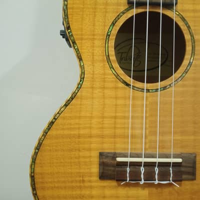 RARE Semi-acoustic Ukulele with Built-in Tuner & Bag
