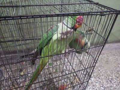 Dono male ha mojy inbox. May msg kro