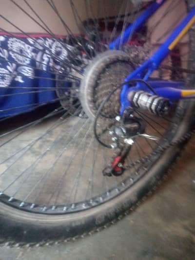 new cycle  urgent cycle