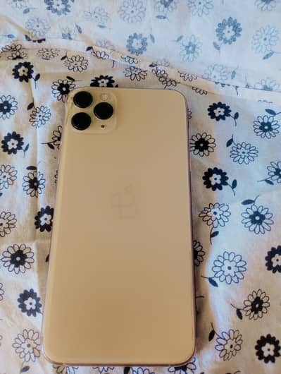 I phone 11 pro max……. Xchang posible