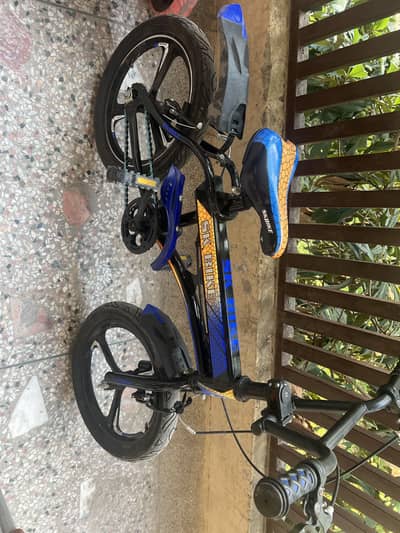 SK Bike original