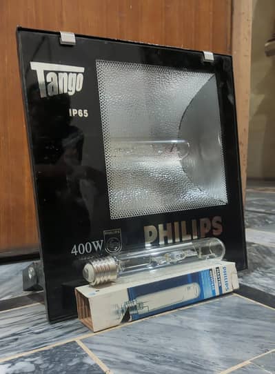 Phillips Flood Light/ Outdoor Light