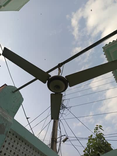 water proof ceiling fan pure cooper